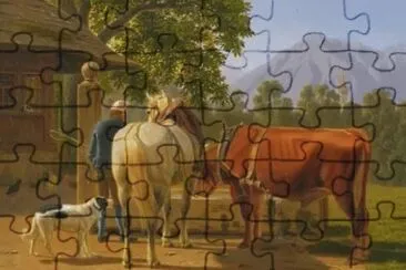 JR 215 jigsaw puzzle