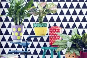 1 jigsaw puzzle