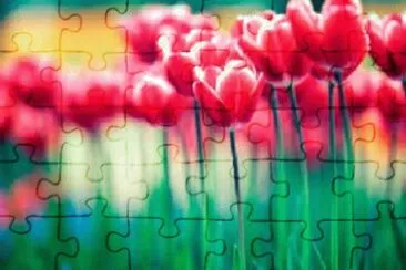 OK jigsaw puzzle