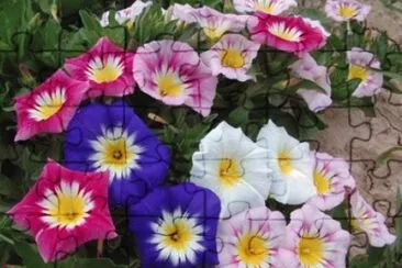 Toy jigsaw puzzle