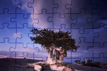 imagem jigsaw puzzle