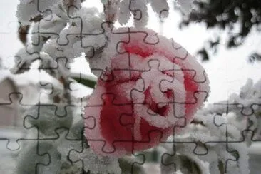 imagem jigsaw puzzle