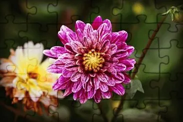 Top jigsaw puzzle