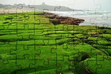 Nature jigsaw puzzle