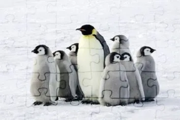 Imagem jigsaw puzzle