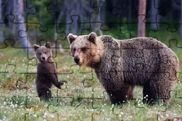 Imagem jigsaw puzzle