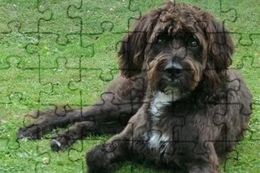  jigsaw puzzle