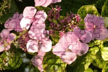  jigsaw puzzle