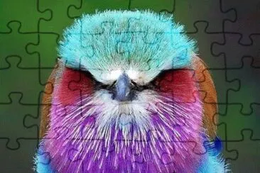  jigsaw puzzle