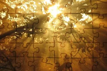 Foggy morning sunrays jigsaw puzzle