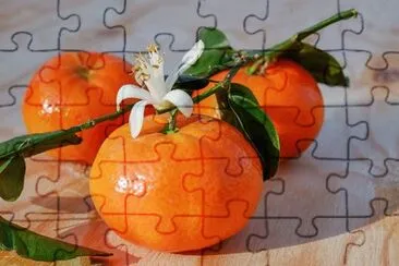 Foto jigsaw puzzle