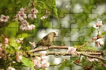 Toy jigsaw puzzle