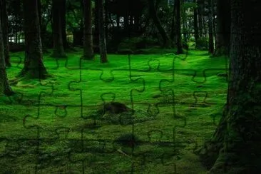 Foto jigsaw puzzle