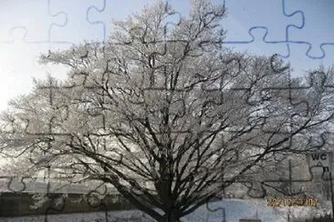 Imagem jigsaw puzzle