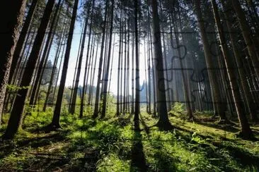 Imagem jigsaw puzzle