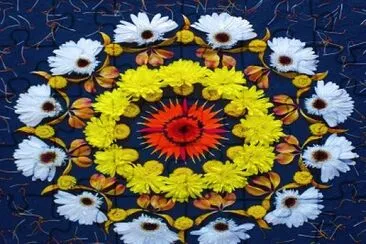 1206 jigsaw puzzle