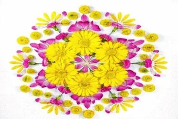 1207 jigsaw puzzle