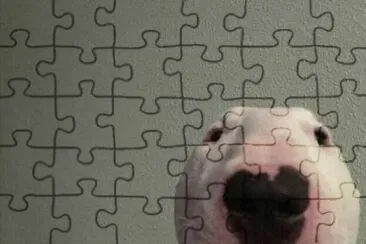  jigsaw puzzle