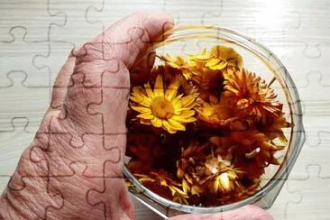 Foto jigsaw puzzle
