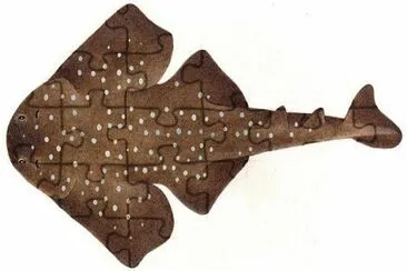 Squatina africana jigsaw puzzle
