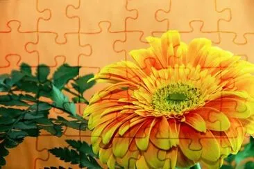 2 jigsaw puzzle