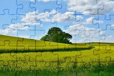 Imagem jigsaw puzzle