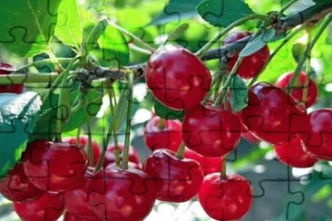 imagem jigsaw puzzle