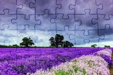 imagem jigsaw puzzle