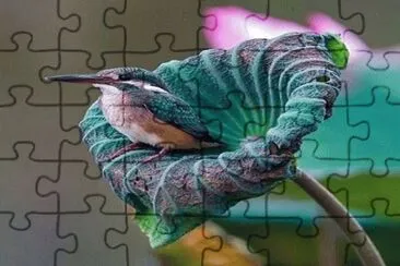 Foto jigsaw puzzle