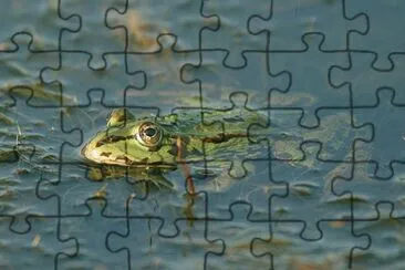 Dei fossi