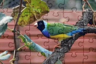 פאזל של Foto