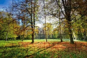 Foto jigsaw puzzle