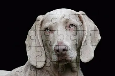 Foto jigsaw puzzle