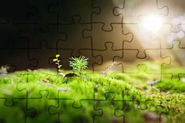 Foto jigsaw puzzle