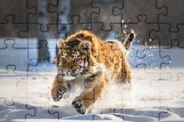 Foto jigsaw puzzle