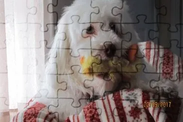פאזל של Bear and duck
