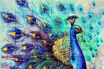 Beautyful Peacock