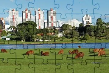 imagem jigsaw puzzle
