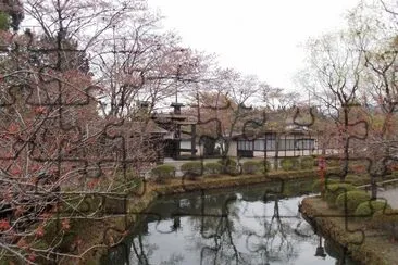Japon9