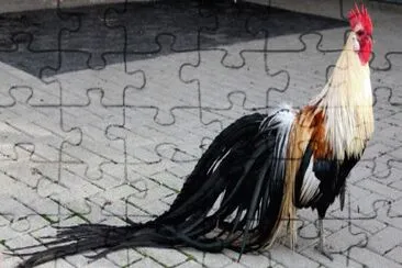Onagatori jigsaw puzzle