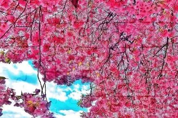 imagem jigsaw puzzle