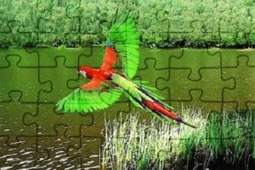 2 jigsaw puzzle