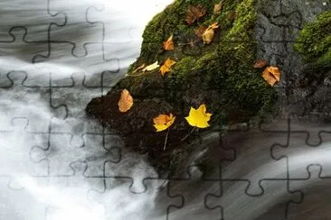 Foto jigsaw puzzle