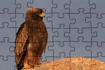 Booted jigsaw puzzle