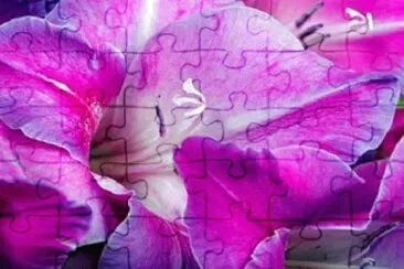 Foto jigsaw puzzle