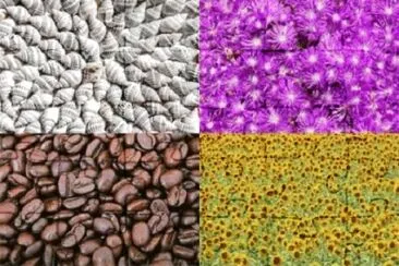 Foto jigsaw puzzle