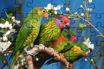 .nicolen45 jigsaw puzzle