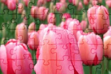2 jigsaw puzzle
