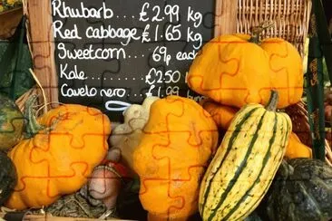 Autumn Squash Pumpkins
