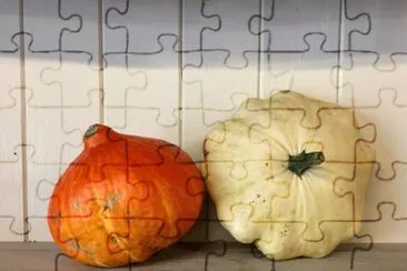 Two Pumpkin Gourds Autumn